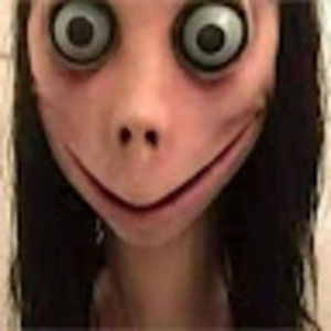 Meet your Posher, Rosalie